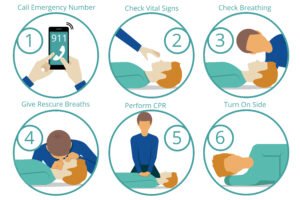 Stress Free CPR Free CPR Training